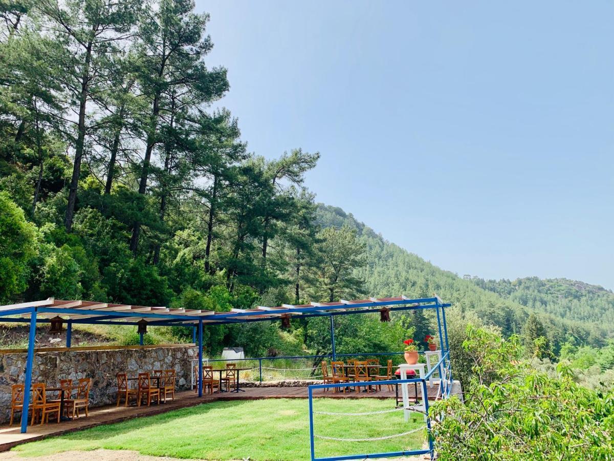 Alp Aparthotel Turunc